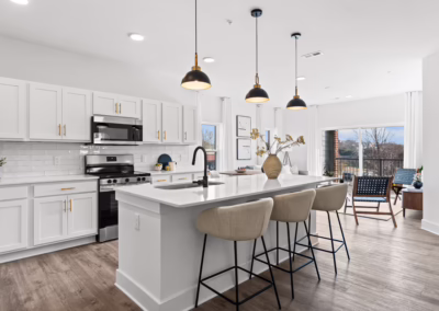 Brixton Rock Hill apartments