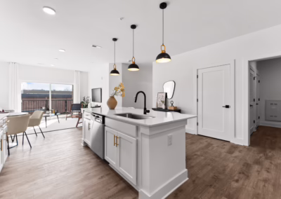 Brixton Rock Hill apartments