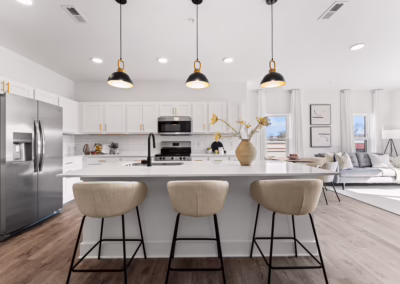 Brixton Rock Hill apartments