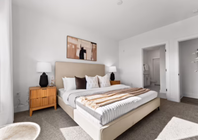 Brixton Rock Hill apartments