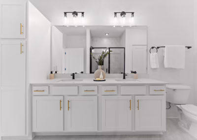 Brixton Rock Hill apartments